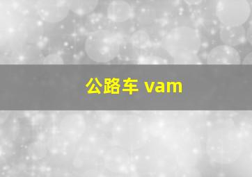 公路车 vam